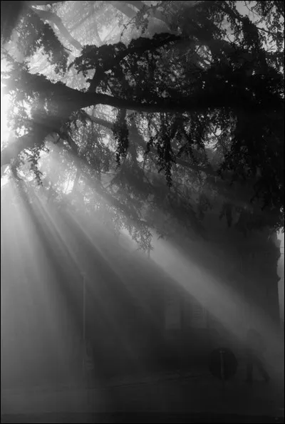 Choisiras-tu l'ombre ou la lumière ?