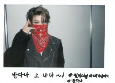 Quel membre avait de la difficulté avec son coréen (langue) quand il a intégré les Stray Kids ?