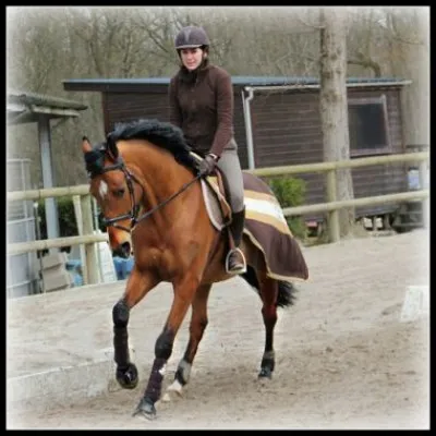 Pour partir au galop, il faut...