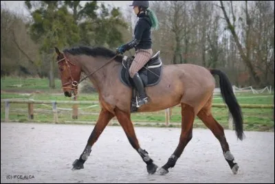 Lorsque vous prenez un diagonale, on ne change pas de main.