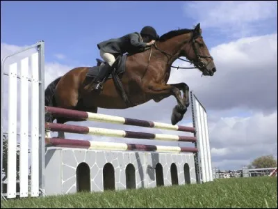 Lequel est un vrai saut ?