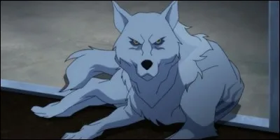 Superboy adopte un animal, du nom de :