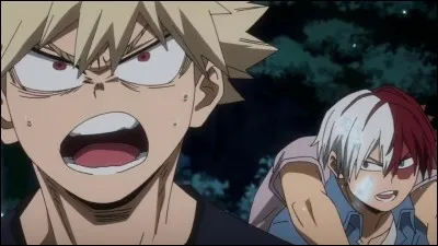 Au camp d'été pendant le test de courage, les élèves ont été attaqués par des super-vilains. Bakugou et Todoroki se sont battus avec l'un d'entre eux.
Qui a gagné ?