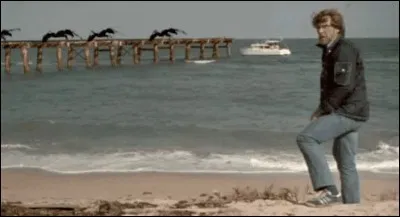 Pour chaque être humain, il y a .... de fourmis !