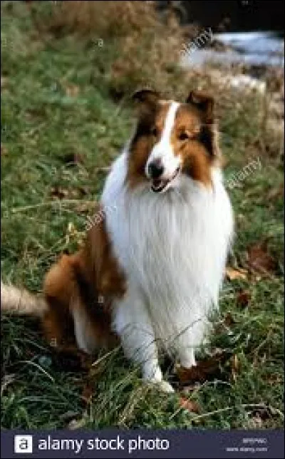 Elle coupe les veines, c'est la...