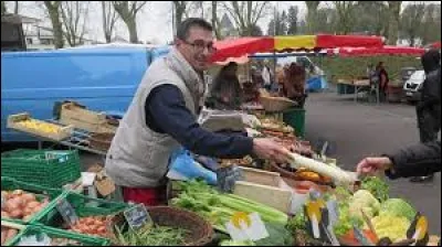 C'est le monde à l'envers pour un cheval de trait, c'est le...
