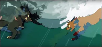 Qui est le/la mentor(e) de Pelage de Neige ?