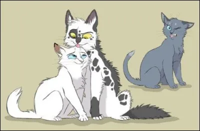 Qui est Petit Bleuet ?