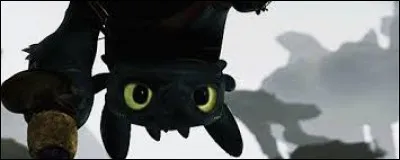 Quelle est l'espèce du dragon d'Harold ?