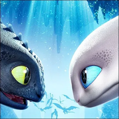 Dans dragons 3 de qui tombe amoureau Krokmou