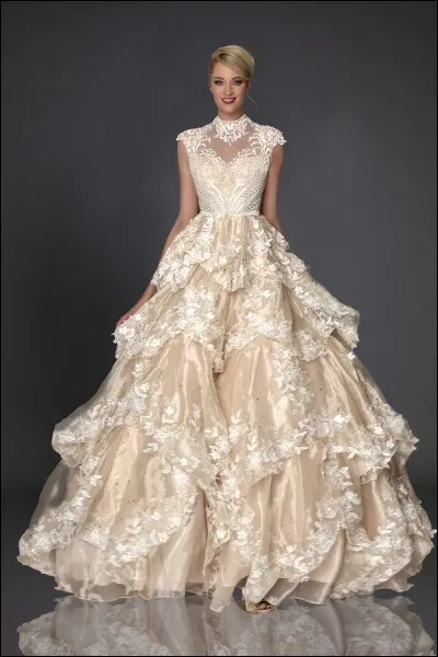 Laquelle de ces propositions n'a pas de robe ?