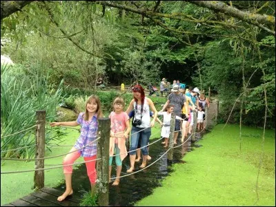 Ton aventure préférée est :