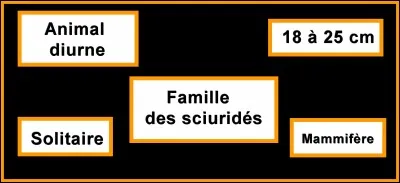 Quelle est la bonne réponse ?