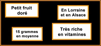 Quelle est la bonne réponse ?