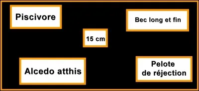 Quelle est la bonne réponse ?