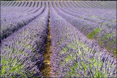 L'une des deux sous-préfectures du département numéroté 26 est :