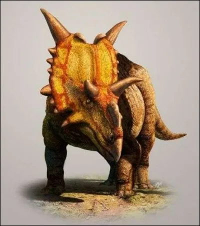 Voici l'Albertaceratops. Que signifie ce nom ?