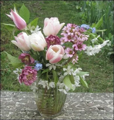 Quelle partie de la fleur entoure ses parties internes ?