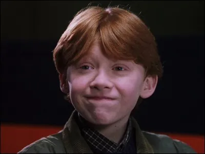Il y a 8 membres dans la famille Weasley :