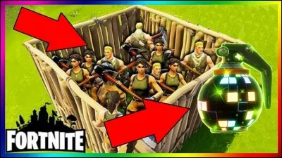 Quelle grenade est représentée ?