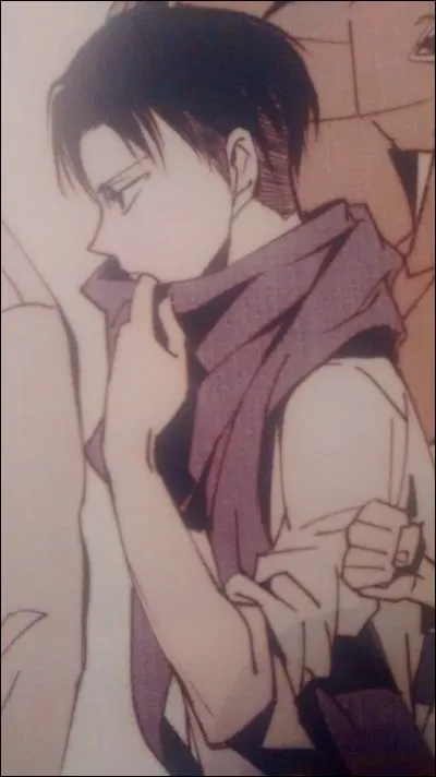 D'après le manga (livre) "Birth if Livaï", combien de Titans a-t-il tués après la mort de ses amis ?