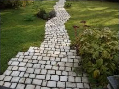 Qui a inventé un aquarium en verre dépoli pour poissons rouges timides ?