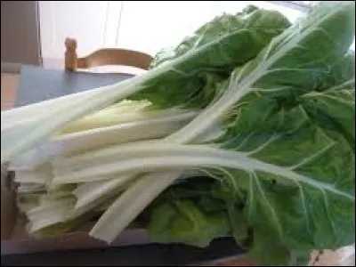 Quel personnage de Balzac étant une simple paysanne têtue, envieuse, se transforme en femme du monde presque belle et d'une perversité infernale ?