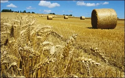 Qui est la déesse de la moisson ?