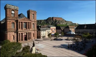 Que trouve-t-on dans la ville de Belfort ?