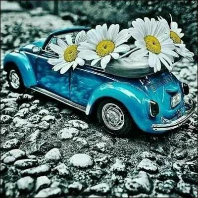 Dans une voiture (française) où se situe "la place du mort" ?