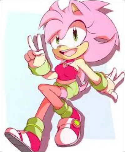 Comment s'appelle la fille de Sonic ?