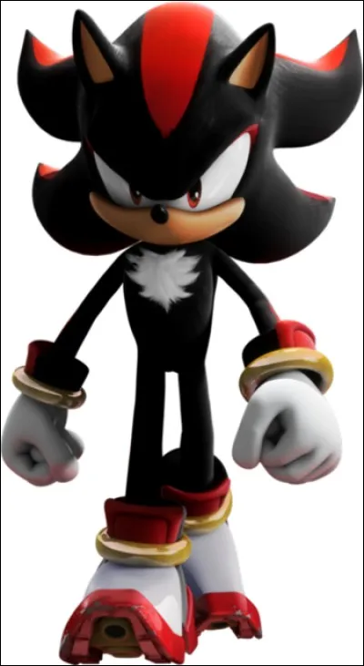 En quelle année, le jeu "Shadow the Hedgehog" est-il sorti ?