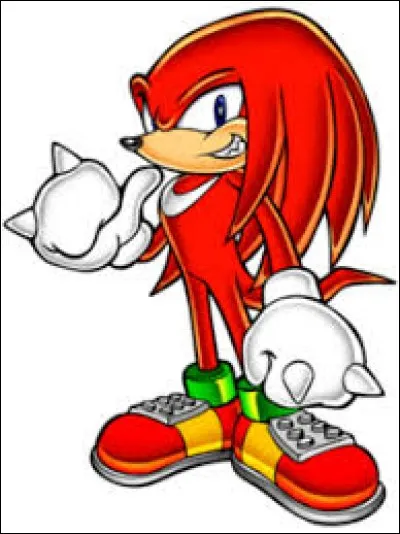 Quel âge a Knuckles ?