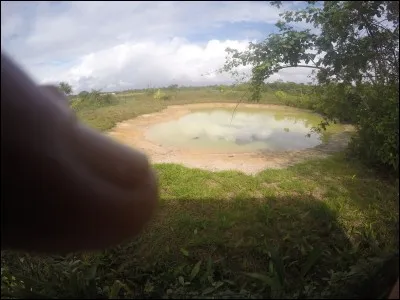 Rappelez-vous que nous sommes en Amérique, plus précisément en Guyane française, quel animal peut bien vivre dans cette mare ?
