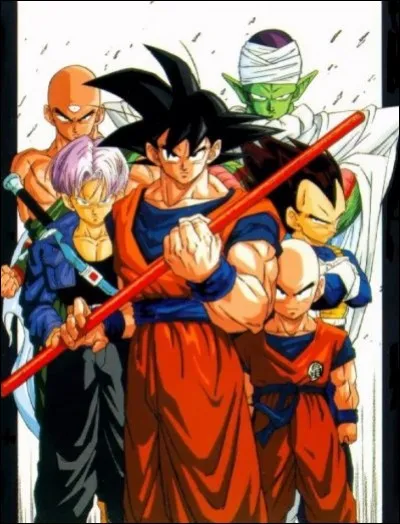 Quel est le titre de ce manga ?