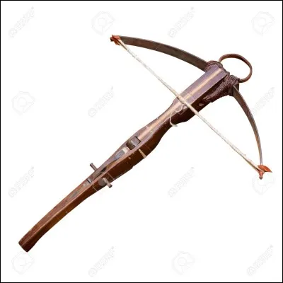 Existe-t-il des arbalètes ?