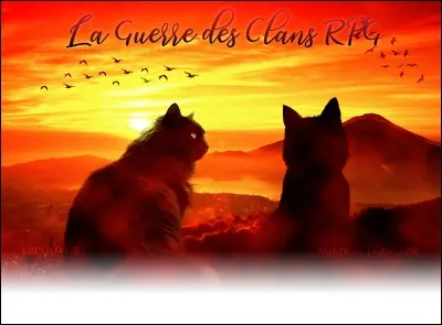 Ton compagnon/ta compagne t'offre un cadeau. Qu'attend-il de toi ?