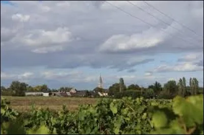 Ancienne commune des Pays-de-la-Loire, dans le Saumurois, Notre-Dame-d'Allençon se situe dans le département ...