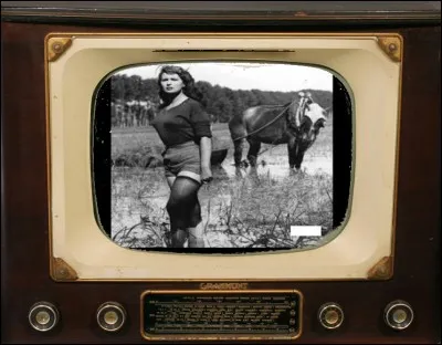 Cela vaudrait peut-être une messe
Quand on le sort de chez Hermès,
Et pourrait être fait de soie,
Ou bien encore de chocolat.
Plus que parfait quadrilatère,
Une très belle main au poker,
Quand on s'en fait coupe de cheveux,
On r'semble à Mireille Mathieu !
Qui est-ce ?