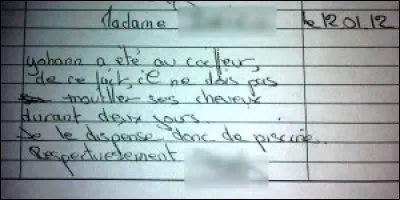 Dans cet ensemble d'idées,
Comme le disait le père Blaise,
Même si certaines nous plaisent,
On est parfois égaré.
Ces fleurs à l'aspect velouté,
Dans des jardins sont plantées,
Elles ressemblent à des violettes,
Qu'elles soient noires ou rosettes !
Qui sont-elles ?