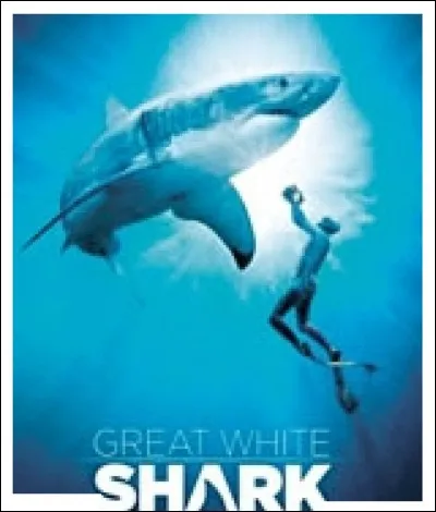 Au féminin, c'est une page
Qui reste trop vierge et trop sage,
C'est un espace bien silencieux.
Qu'on peut observer dans les yeux.
C'est une manière de chauffer
Une couleur parfois cassée,
Ou bien une voix, non pas brisée,
Mais pour le moins bien détimbrée.
Qui suis-je ?