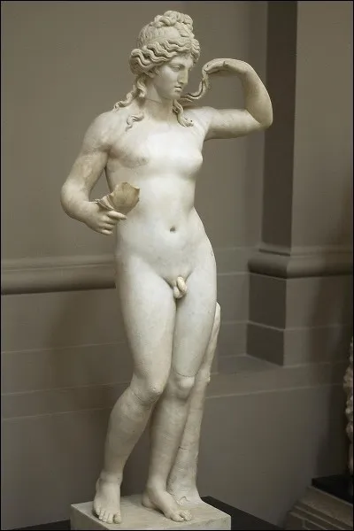 Dans ''3e sexe'', Indochine parle ''d'une fille au masculin et d'un garçon au féminin. Quand une personne est morphologiquement masculine et féminine, on dit qu'elle est hermaphrodite. De quoi Hermès et Aphrodite étaient-ils le dieu et la déesse ?