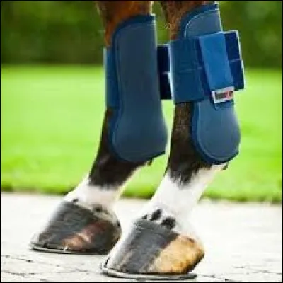 Quel est le nom de cet équipement ?