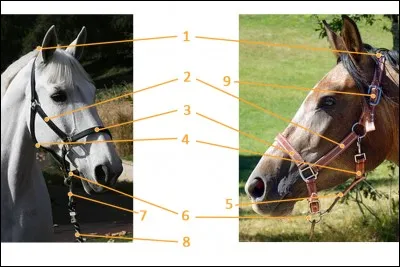 Comment s'appelle la partie 5 ?