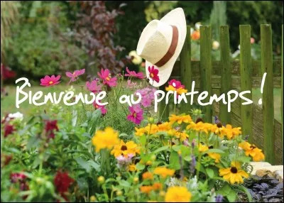 La saison du printemps commence au mois de mars jusqu'au mois de juin.