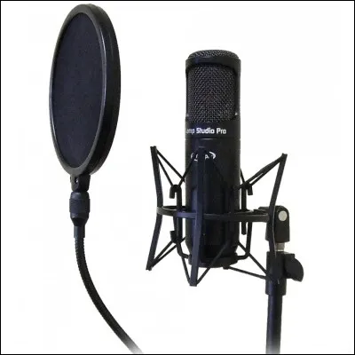 Lequel de ces doublages sans parole, fait par le réalisateur, est faux ?