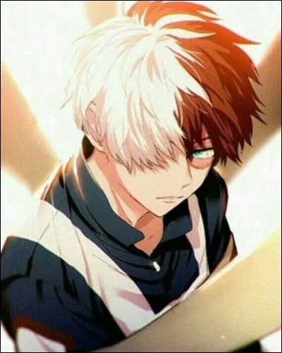 Contre qui a-t-il perdu ?