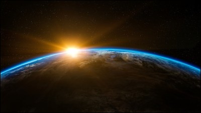 Quel fut le premier être vivant à être mis en orbite autour de la terre ?