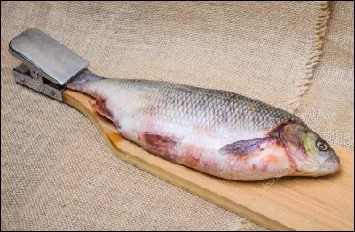Comment appelle-t-on l'action culinaire "préparer un poisson" ?