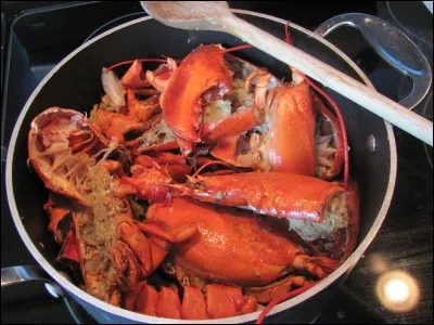 Quel terme correspond à l'action du "changement de couleur que prennent les crustacés comme le homard ou la langouste lors de la cuisson" ?
